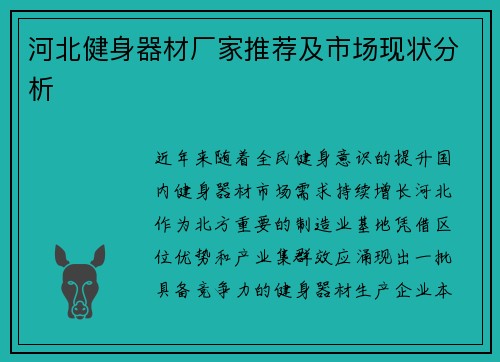 河北健身器材厂家推荐及市场现状分析